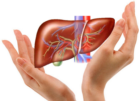 5 Bí Quyết Bảo Vệ Gan Khi Uống Bia Rượu
